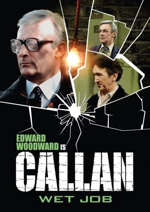 Wet Jobのポスター