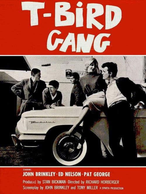 T-Bird Gangのポスター