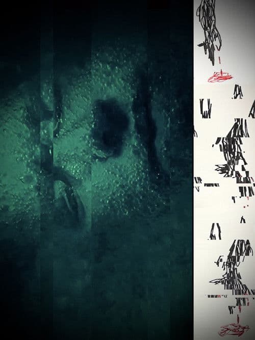 Three Wolvesのポスター