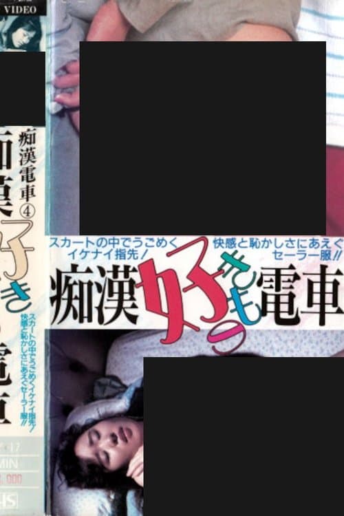 痴漢好きもの電車のポスター