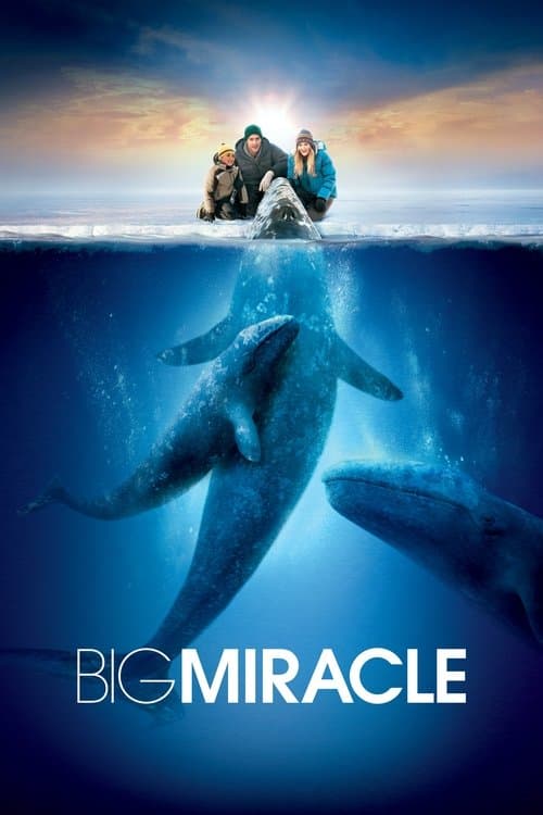 Big Miracleのポスター
