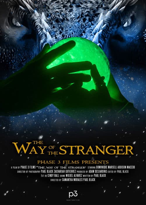 The Way of the Strangerのポスター