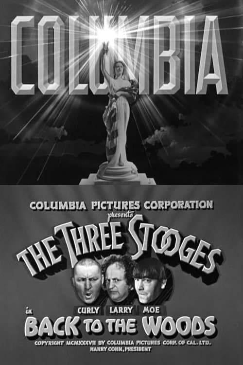 Back to the Woodsのポスター