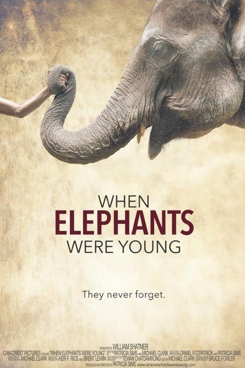 When Elephants Were Youngのポスター