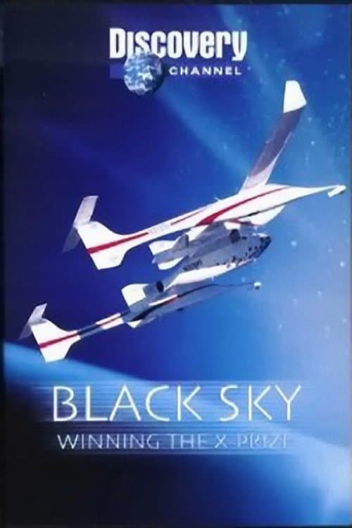 Black Skyのポスター