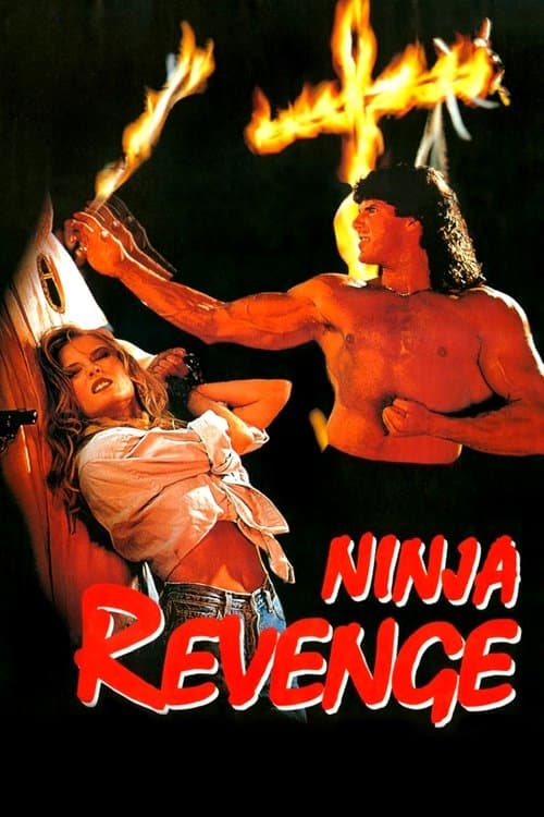 Ninja Vengeanceのポスター