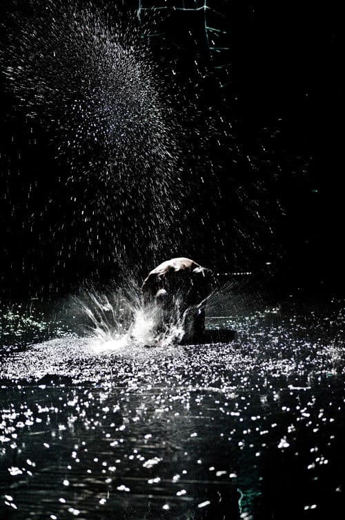 Hamletのポスター