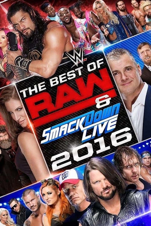 WWE Best of Raw & SmackDown Live 2016のポスター