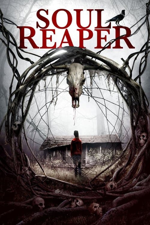 Soul Reaperのポスター