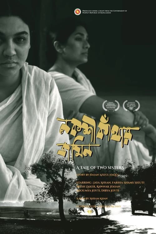 নকশী কাঁথার জমিনのポスター
