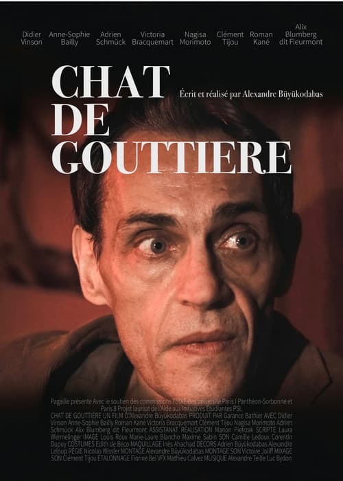 Chat de gouttièreのポスター