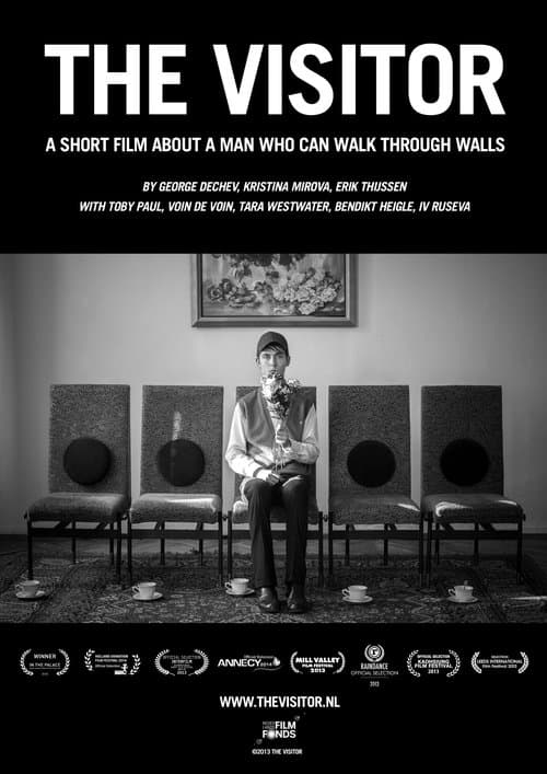 The Visitorのポスター