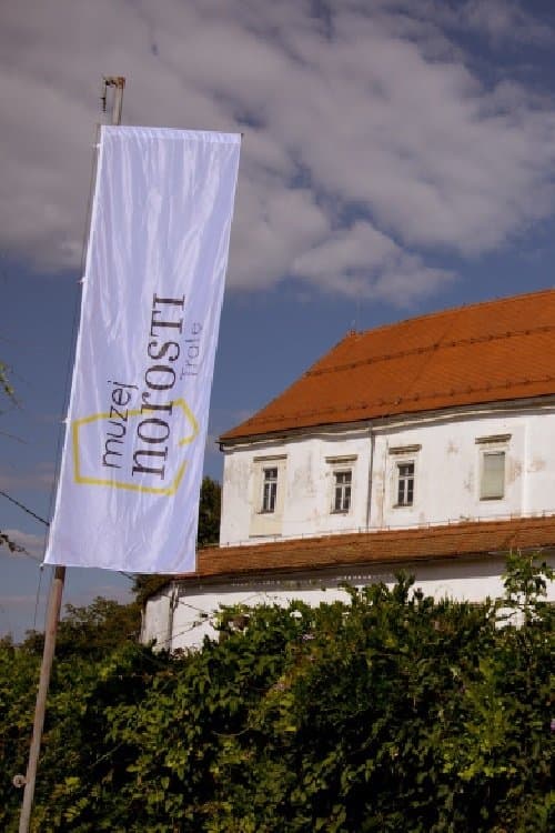 Muzej norostiのポスター