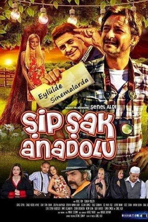 Şipşak Anadoluのポスター