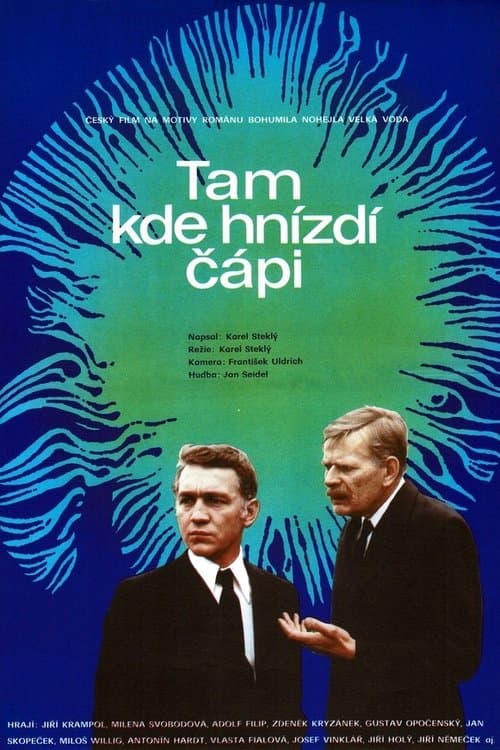 Tam kde hnízdí čápiのポスター
