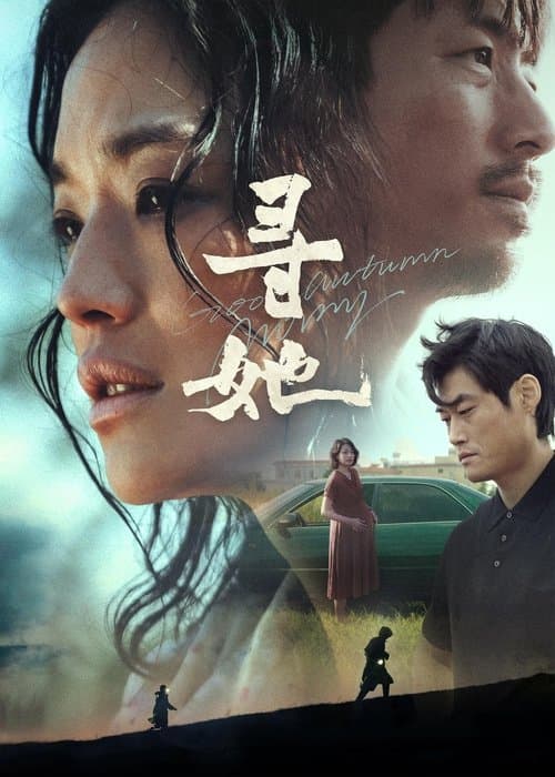 寻她のポスター