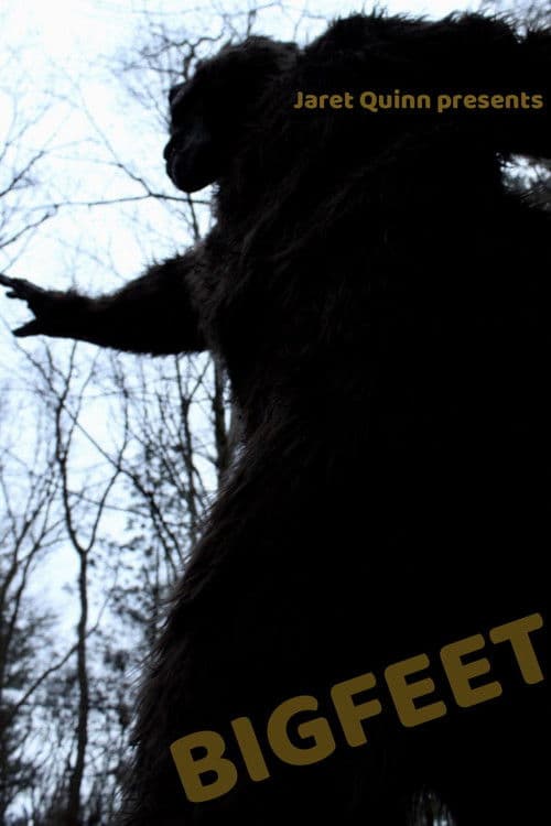 BIGFEETのポスター