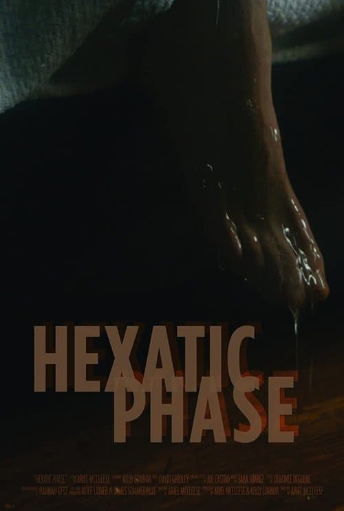 Hexatic Phaseのポスター