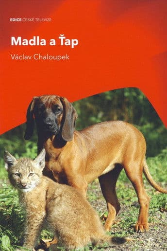 Madla a Ťapのポスター