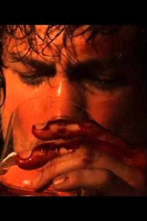 Vale Tudo Projectのポスター