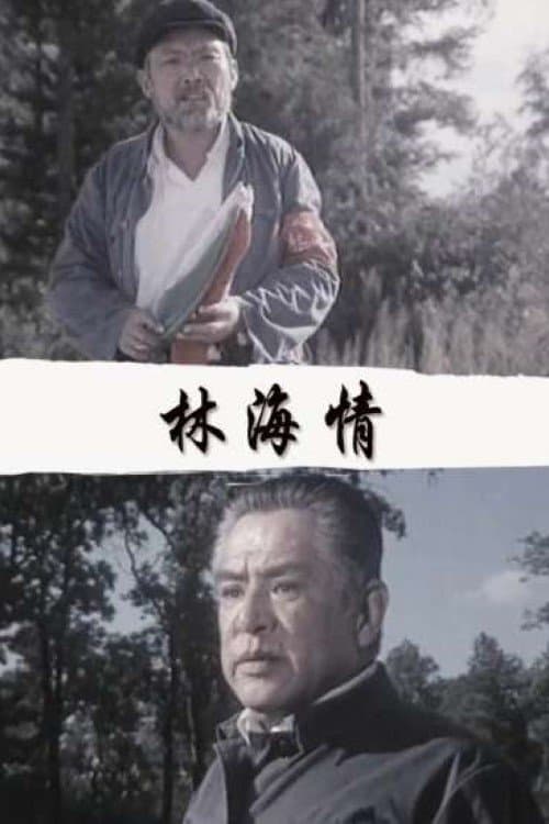 林海情のポスター