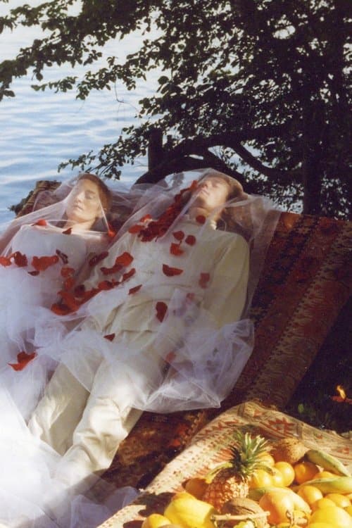 Les Noces chymiquesのポスター