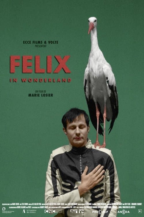 Felix in Wonderlandのポスター