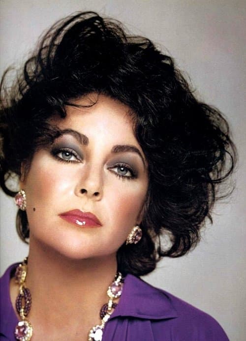 Elizabeth Taylor: An Intimate Portraitのポスター