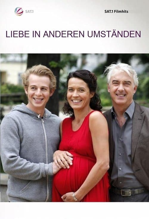Liebe in anderen Umständenのポスター