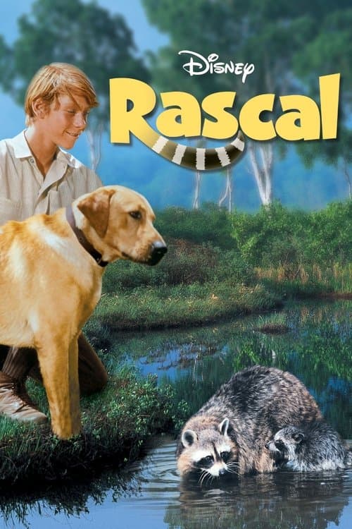 Rascalのポスター