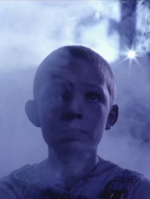 Fort Apacheのポスター