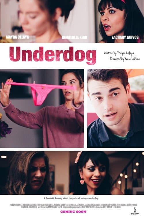 The Underdogのポスター
