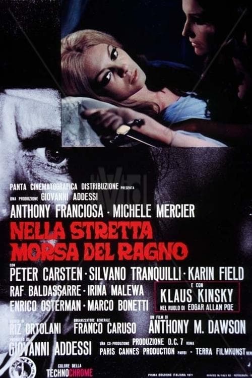 Nella stretta morsa del ragnoのポスター