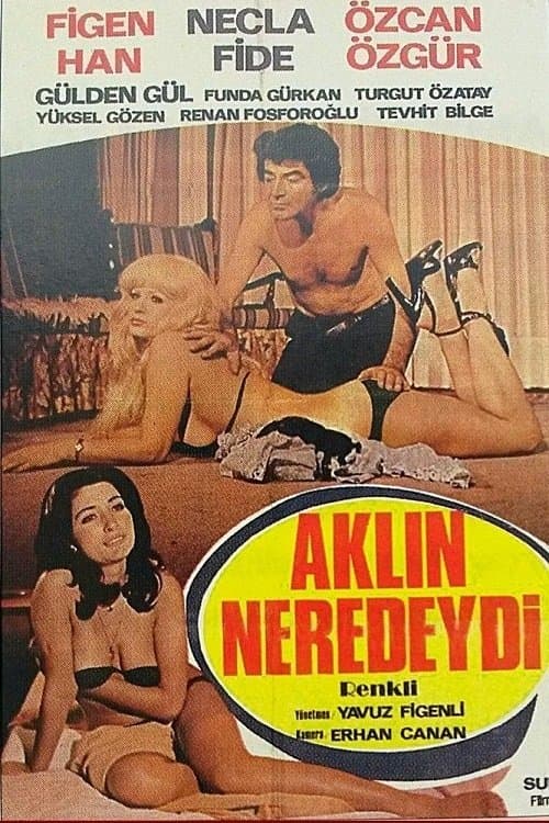 Aklın Neredeydiのポスター