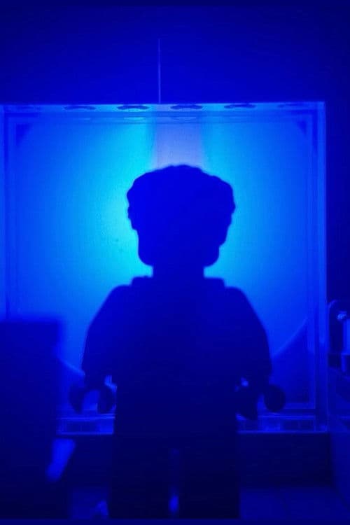 The Way Outのポスター