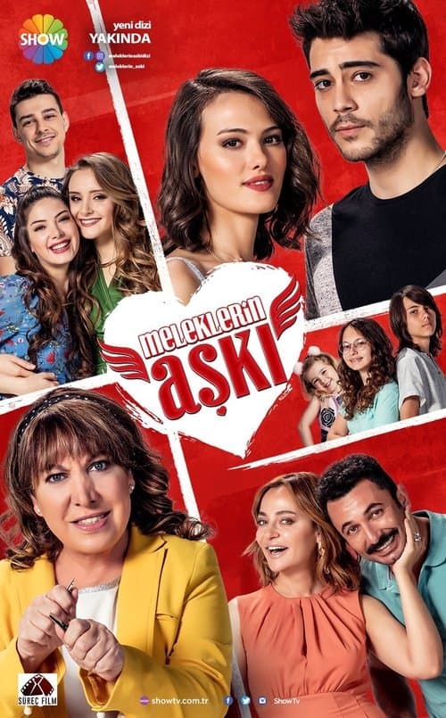 Meleklerin Aşkıのポスター