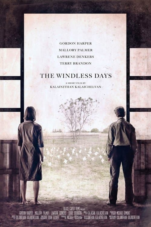 The Windless Daysのポスター