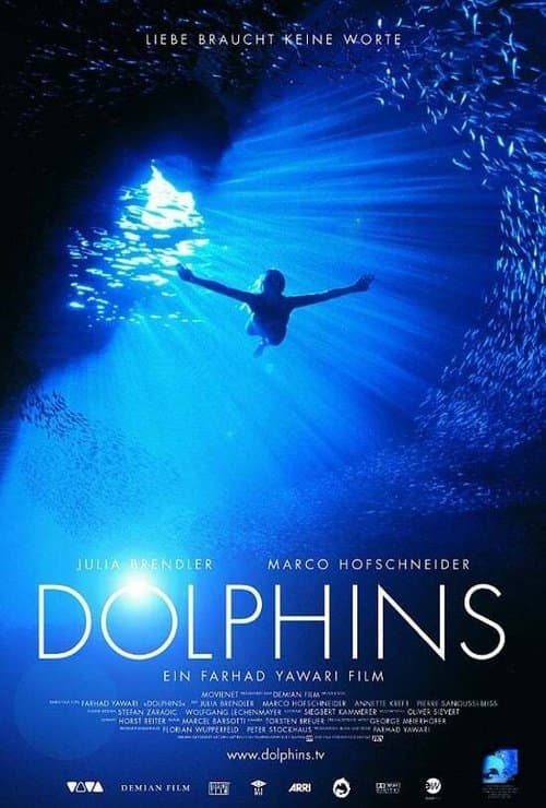 Dolphinsのポスター
