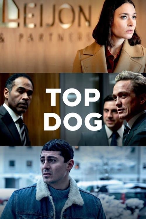 Top Dogのポスター