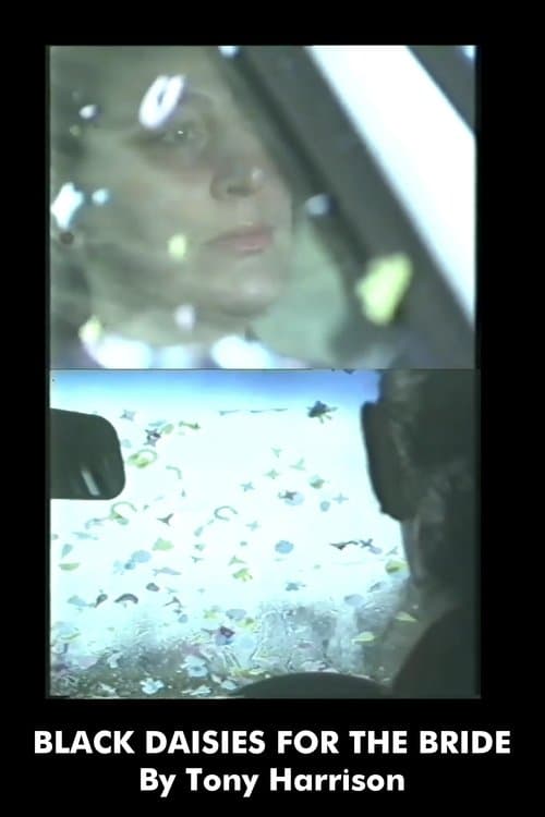 Black Daisies For The Brideのポスター
