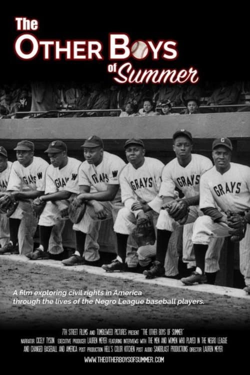 The Other Boys of Summerのポスター