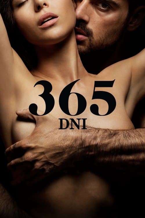 愛は、365の日々でのポスター