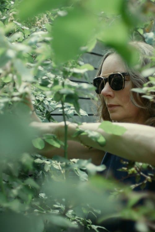 Like Motherのポスター