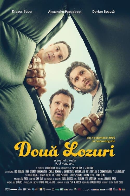 Două lozuriのポスター