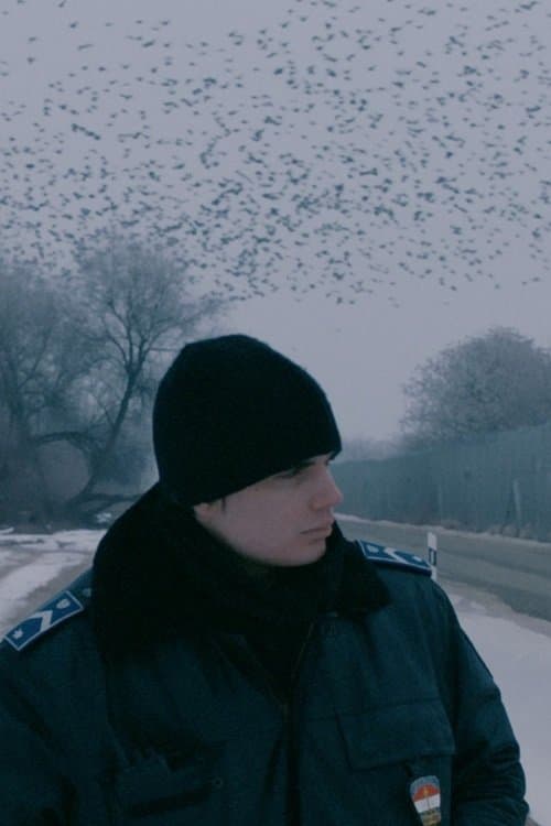 Minden rendbenのポスター