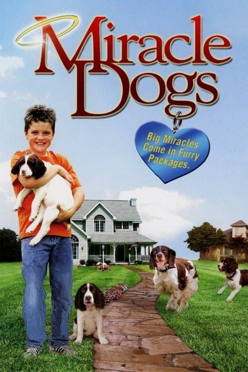 Miracle Dogsのポスター