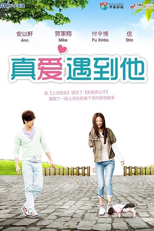 上流俗女のポスター