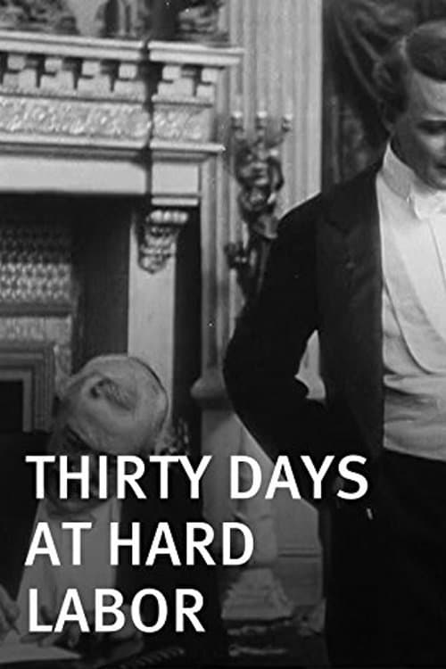 Thirty Days at Hard Laborのポスター