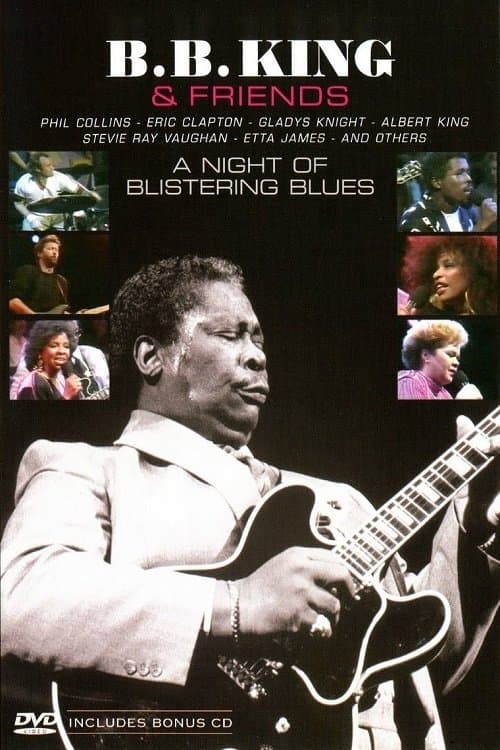 B.B. King & Friendsのポスター