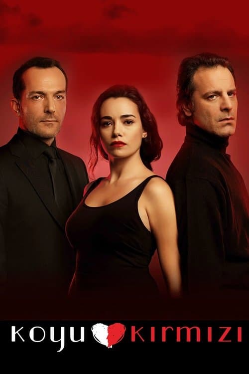 Koyu Kırmızıのポスター
